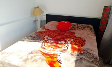 DEPARTAMENTO EN ALQUILER