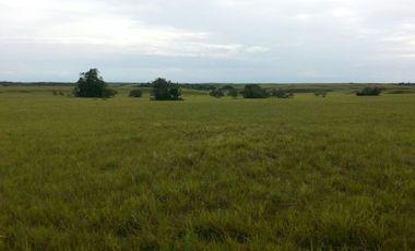 FINCA GANADERA DE 2.637 HECTAREAS EN GUANAPE - VICHADA