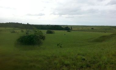FINCA GANADERA DE 2.637 HECTAREAS EN GUANAPE - VICHADA