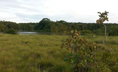 FINCA GANADERA DE 2.637 HECTAREAS EN GUANAPE - VICHADA