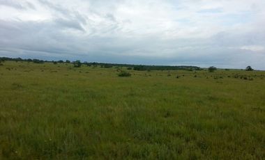 FINCA GANADERA DE 2.637 HECTAREAS EN GUANAPE - VICHADA