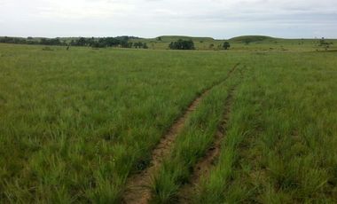 FINCA GANADERA DE 2.637 HECTAREAS EN GUANAPE - VICHADA