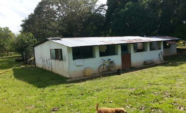 FINCA GANADERA DE 2.637 HECTAREAS EN GUANAPE - VICHADA