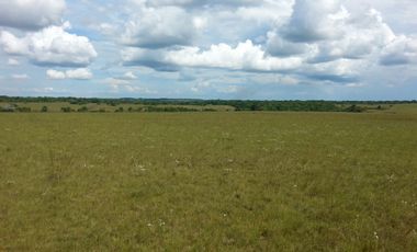 FINCA GANADERA DE 2.637 HECTAREAS EN GUANAPE - VICHADA