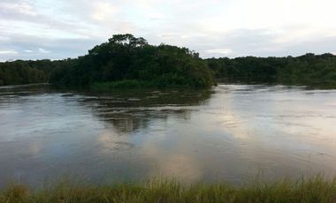 FINCA GANADERA DE 2.637 HECTAREAS EN GUANAPE - VICHADA