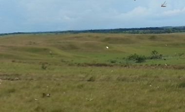 FINCA GANADERA DE 2.637 HECTAREAS EN GUANAPE - VICHADA