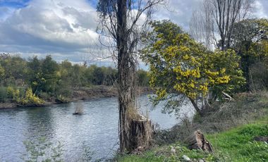 Venta linda parcela 2 hectáreas con cabaña y orilla de Río Cato - Chillán