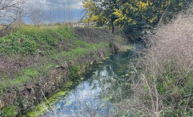 Venta linda parcela 2 hectáreas con cabaña y orilla de Río Cato - Chillán