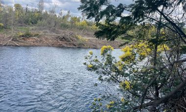 Venta linda parcela 2 hectáreas con cabaña y orilla de Río Cato - Chillán