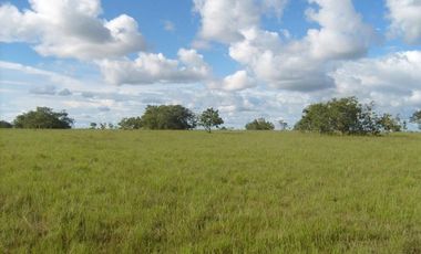 FINCA GANADERA DE 1.293 HECTAREAS EN LA PRIMAVERA- VICHADA
