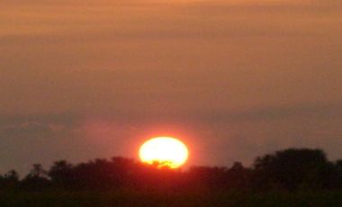 FINCA GANADERA DE 1.293 HECTAREAS EN LA PRIMAVERA- VICHADA