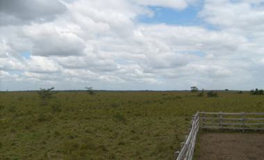 FINCA GANADERA DE 1.293 HECTAREAS EN LA PRIMAVERA- VICHADA