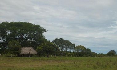 FINCA GANADERA DE 1.293 HECTAREAS EN LA PRIMAVERA- VICHADA