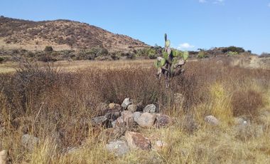 TERRENO EN VENTA EN POLOTITLAN, ESTADO DE MEXICO AUTOPISTA MEXICO-QUERETARO