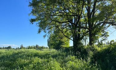 Venta hermosas parcelas de 5.000 Mts2 - Sector Las Tijeras, Coihueco, Ñuble