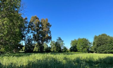 Venta hermosas parcelas de 5.000 Mts2 - Sector Las Tijeras, Coihueco, Ñuble