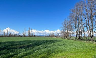 Venta hermosas parcelas de 5.000 Mts2 - Sector Las Tijeras, Coihueco, Ñuble