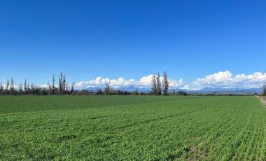 Venta hermosas parcelas de 5.000 Mts2 - Sector Las Tijeras, Coihueco, Ñuble