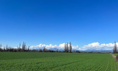 Venta hermosas parcelas de 5.000 Mts2 - Sector Las Tijeras, Coihueco, Ñuble