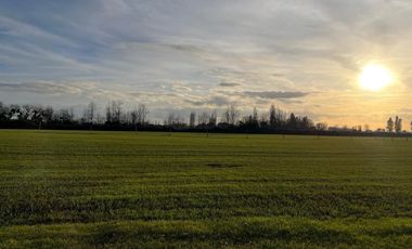 Venta hermosas parcelas de 5.000 Mts2 - Sector Las Tijeras, Coihueco, Ñuble