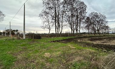 Venta hermosas parcelas de 5.000 Mts2 - Sector Las Tijeras, Coihueco, Ñuble