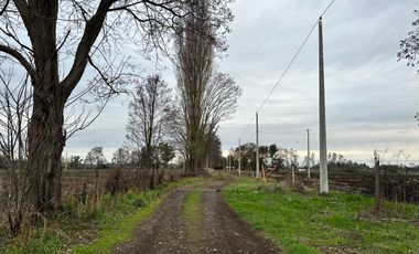 Venta hermosas parcelas de 5.000 Mts2 - Sector Las Tijeras, Coihueco, Ñuble