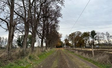 Venta hermosas parcelas de 5.000 Mts2 - Sector Las Tijeras, Coihueco, Ñuble