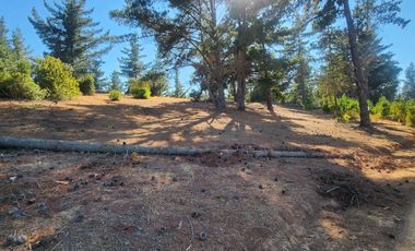 A solo 14 minutos de Cáhuil, una propiedad con entornos naturales que invitan al descanso y estilo de vida campestre que buscabas.