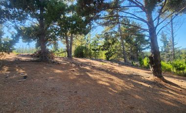 A solo 14 minutos de Cáhuil, una propiedad con entornos naturales que invitan al descanso y estilo de vida campestre que buscabas.