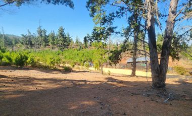 A solo 14 minutos de Cáhuil, una propiedad con entornos naturales que invitan al descanso y estilo de vida campestre que buscabas.