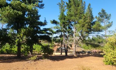 A solo 14 minutos de Cáhuil, una propiedad con entornos naturales que invitan al descanso y estilo de vida campestre que buscabas.