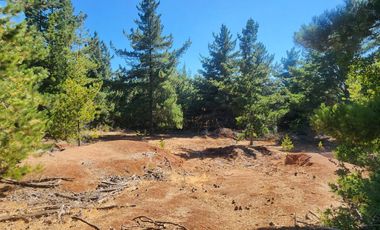 A solo 14 minutos de Cáhuil, una propiedad con entornos naturales que invitan al descanso y estilo de vida campestre que buscabas.