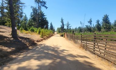 A solo 14 minutos de Cáhuil, una propiedad con entornos naturales que invitan al descanso y estilo de vida campestre que buscabas.