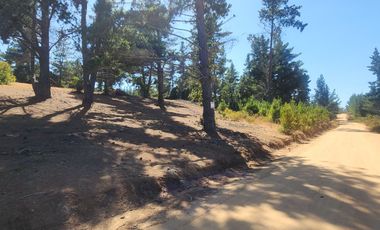 A solo 14 minutos de Cáhuil, una propiedad con entornos naturales que invitan al descanso y estilo de vida campestre que buscabas.