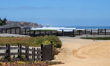 Exclusivo terreno a pasos del mar en condominio privado, en playa Punta de lobos.