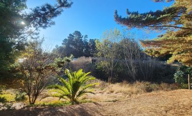 3 casas en una misma propiedad, zona de alta plusvalía.