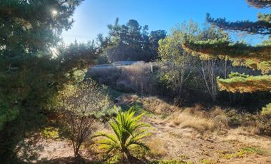 3 casas en una misma propiedad, zona de alta plusvalía.