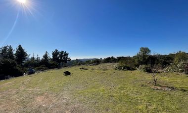 Vendemos Amplia parcela en el Batro de 5600 m2, posee casa, piscina, quincho y paltos, El Batro