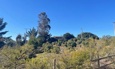 Vendemos Amplia parcela en el Batro de 5600 m2, posee casa, piscina, quincho y paltos, El Batro