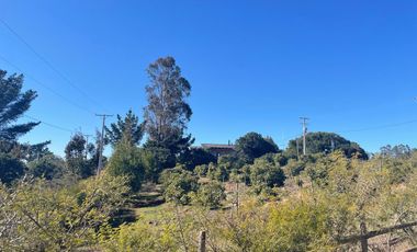 Vendemos Amplia parcela en el Batro de 5600 m2, posee casa, piscina, quincho y paltos, El Batro