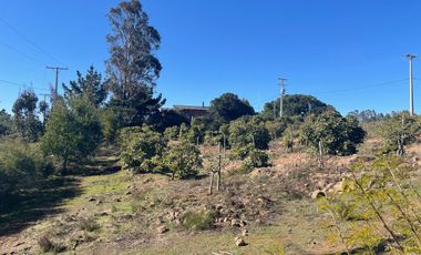 Vendemos Amplia parcela en el Batro de 5600 m2, posee casa, piscina, quincho y paltos, El Batro