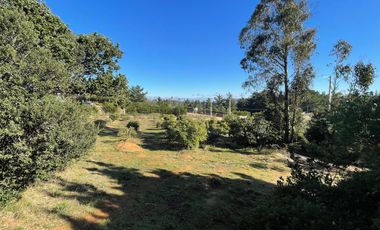Vendemos Amplia parcela en el Batro de 5600 m2, posee casa, piscina, quincho y paltos, El Batro