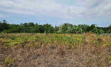 DIJUAL TANAH JL SOEKARNO HATTA