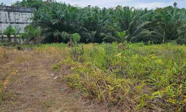 DIJUAL TANAH JL SOEKARNO HATTA