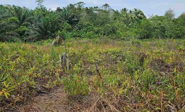 DIJUAL TANAH JL SOEKARNO HATTA