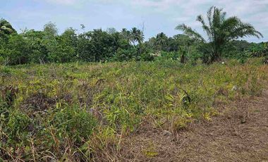 DIJUAL TANAH JL SOEKARNO HATTA