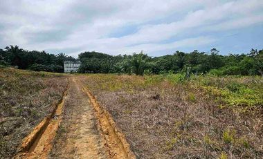 DIJUAL TANAH JL SOEKARNO HATTA