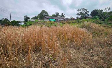 DIJUAL TANAH JL SOEKARNO HATTA