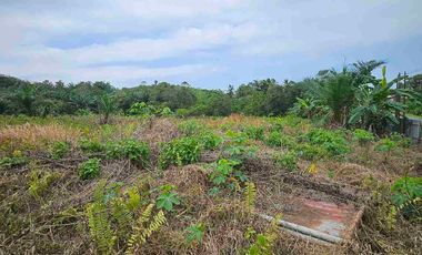 DIJUAL TANAH JL SOEKARNO HATTA