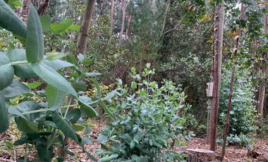 Se vende parcela de agrado en Vilches Alto